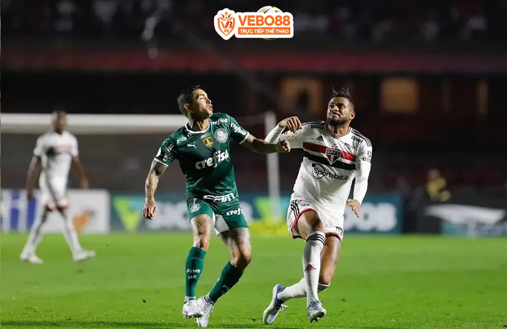 Dự đoán Soi kèo Sao Paulo vs Palmeiras, 5h30 06/07/2023